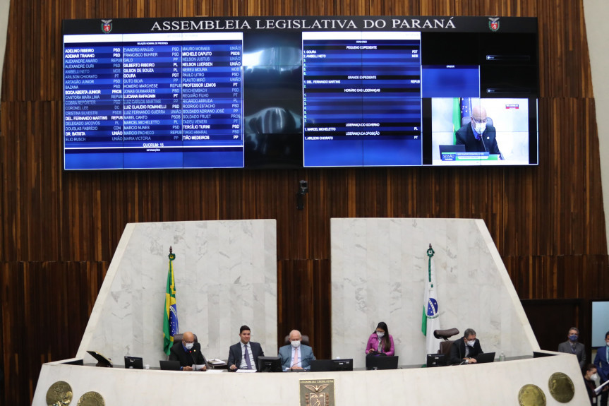 Deputados aprovam redação final do projeto que obriga agressores a arcar com despesas veterinárias de animais agredidos.