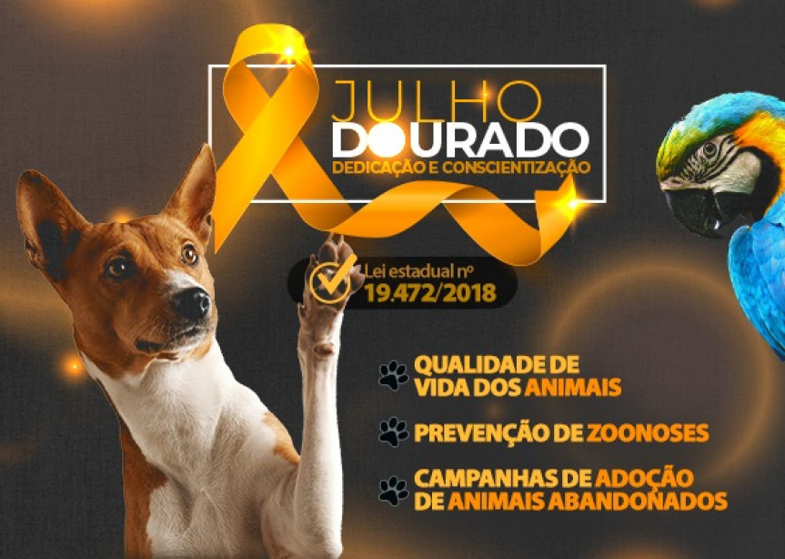 Julho Dourado foi instituído no Paraná como o mês de reflexão e promoção de eventos sobre a saúde de animais.