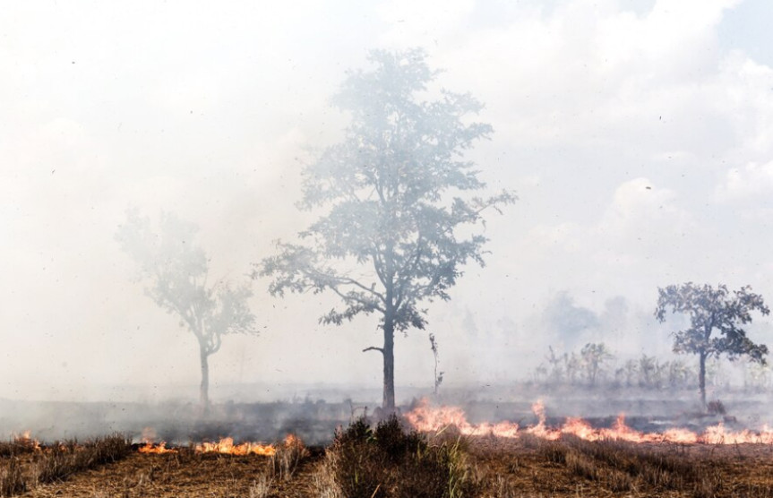 Agosto também é o mês de prevenção e combate aos incêndios e queimadas.