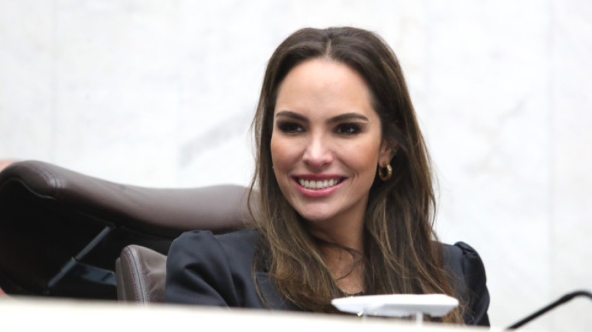 A Frente Parlamentar é coordenada pela deputada estadual Maria Victoria (PP).