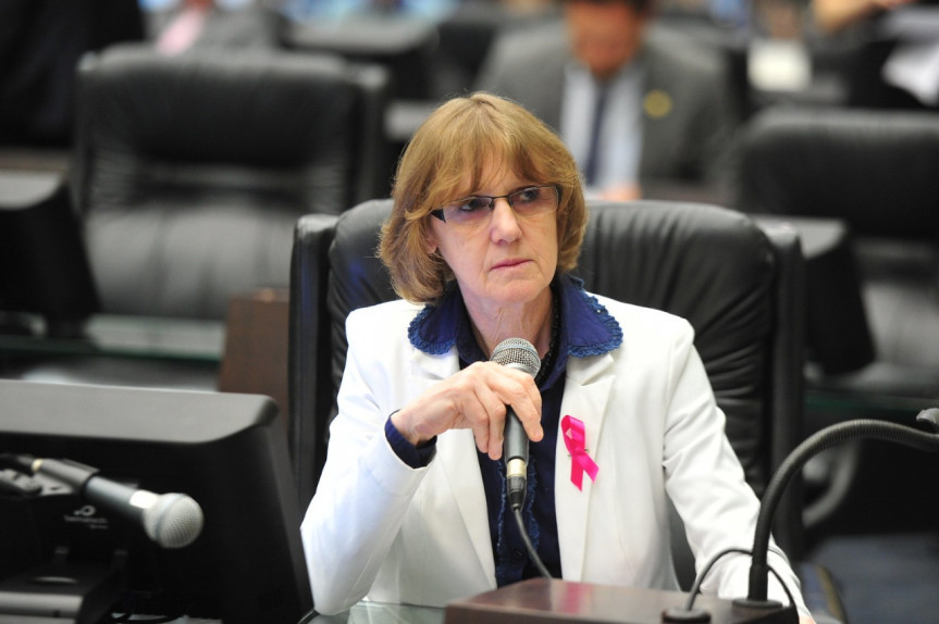 Deputada Luciana Rafagnin (PT).