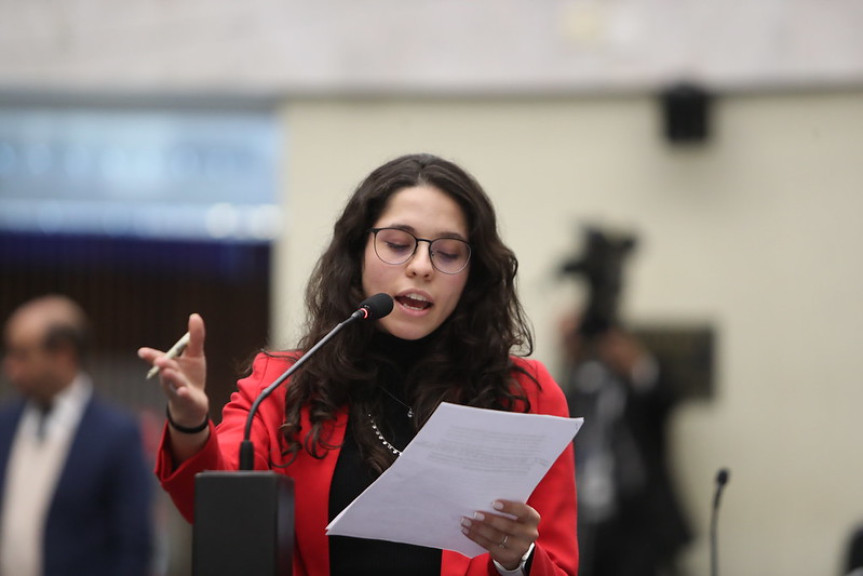 A deputada Ana Júlia (PT) é a proponente da audiência.