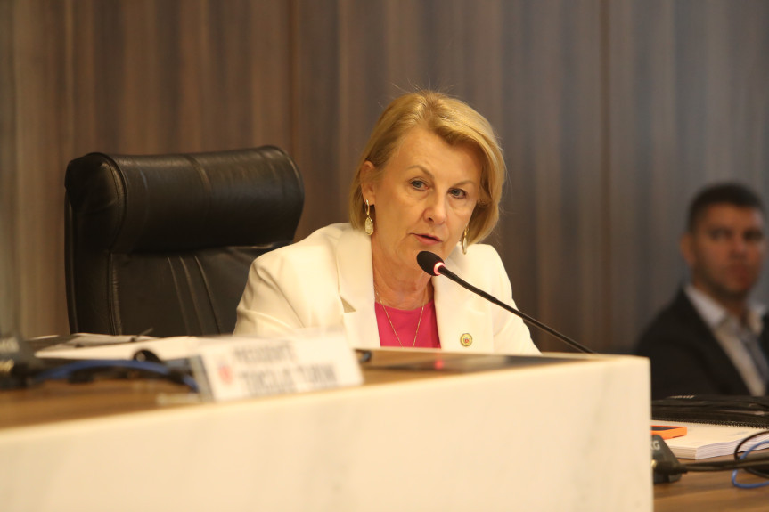 Deputada Márcia Huçulak (PSD).