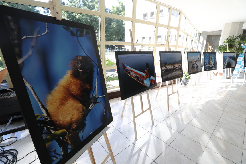 Exposição foi aberta na manhã desta segunda-feira (22), no Espaço Cultural da Casa.