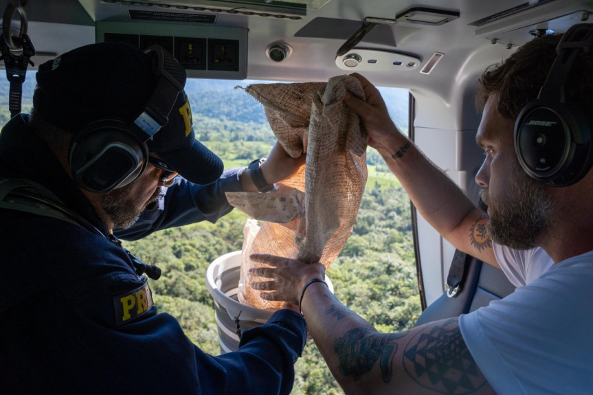 O deputado participou do lançamento das sementes feitas do helicóptero da Superintendência da Polícia Rodoviária Federal do Paraná (PRF-PR), que também contou com o apoio da Empresa Brasileira de Pesquisa Agropecuária (Embrapa); do Instituto Brasileiro do Meio Ambiente e dos Recursos Naturais Renováveis (Ibama) e da Companhia Nacional de Abastecimento (Conab).