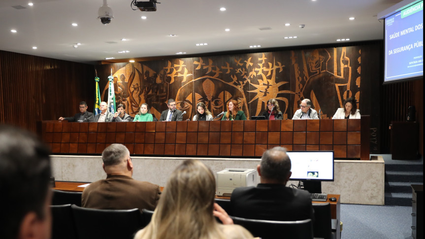 Audiência ocorreu no Plenarinho da Assembleia Legislativa na manhã desta segunda-feira (16).