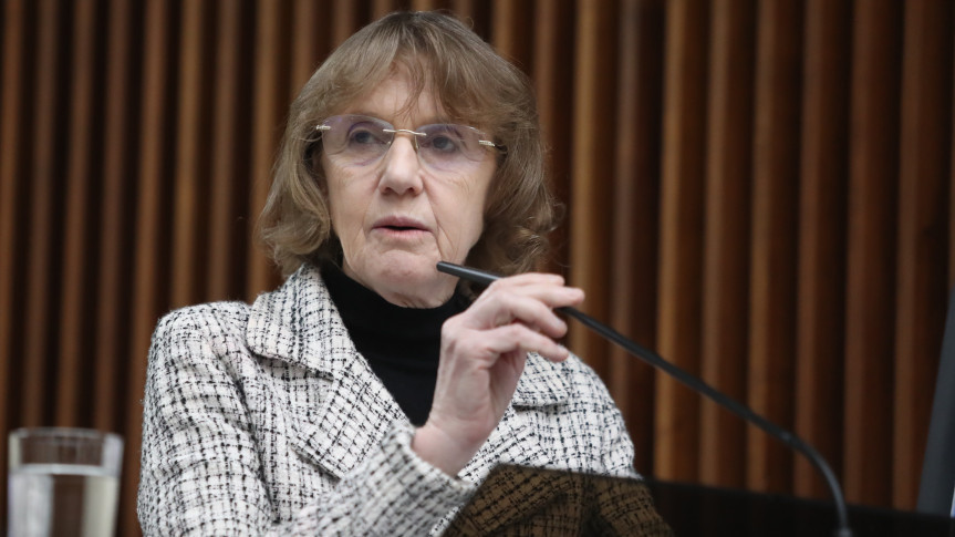 Deputada Luciana Rafagnin (PT).