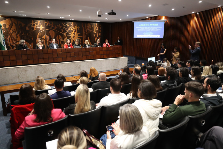 Audiência ocorreu no Plenarinho da Assembleia Legislativa na manhã desta terça-feira (28).