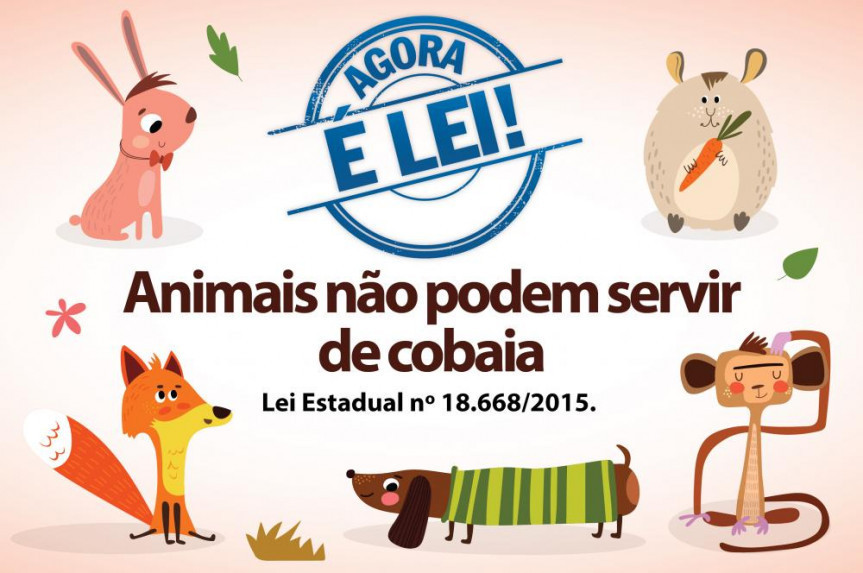 De acordo com a legislação, o uso de animais domésticos para o desenvolvimento de experimentos e testes de produtos cosméticos, de higiene pessoal e perfumes é proibido.