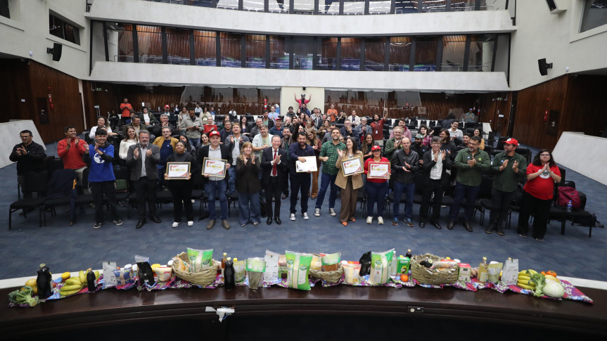 Solenidade ocorreu na tarde desta quarta-feira (29), no Plenário da Casa.