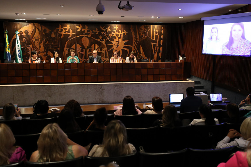 A Procuradoria da Mulher da Assembleia Legislativa do Paraná realizou nesta quarta-feira (27) o 3º Encontro Estadual das Procuradorias da Mulher.