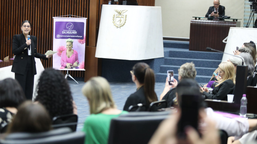 Segundo dia de seminário ocorreu nesta quinta-feira (13), no Plenário da Casa.
