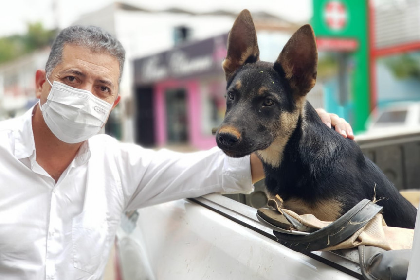 Deputado Cobra Repórter (PSD) quer auxílio para instituições e famílias que cuidam de animais.