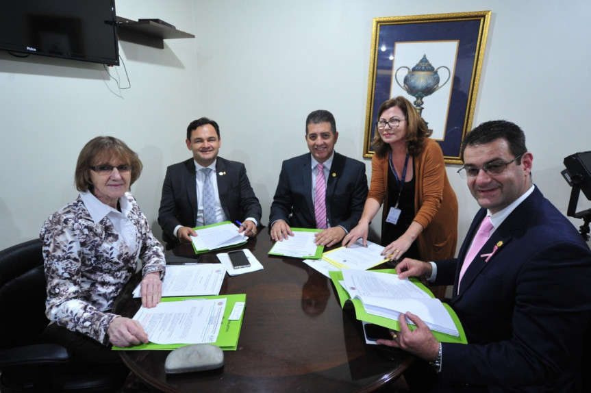 Reunião da Comissão de Defesa dos Direitos da Criança, do Adolescente, do Idoso e da Pessoa com Deficiência (Criai).