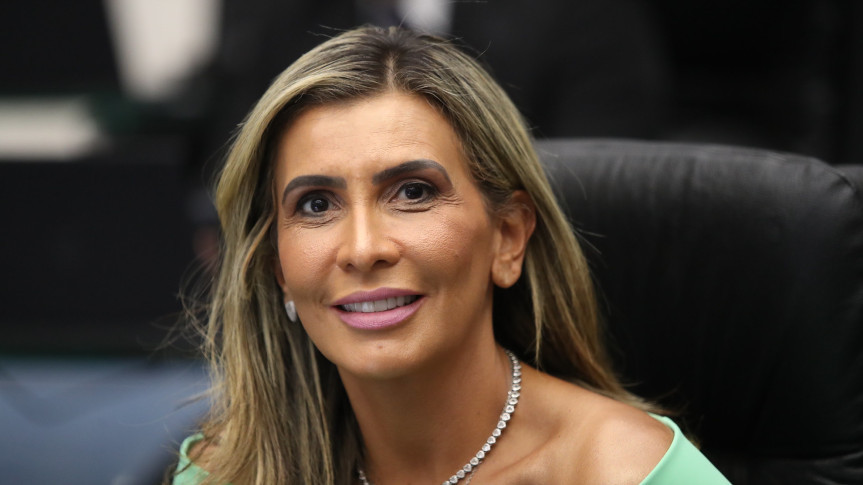 A deputada Flávia Francischini (União) é a proponente do encontro.