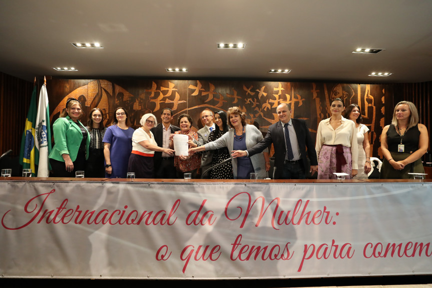Audiência pública ‘Dia Internacional da Mulher - o que temos a comemorar?’ reuniu especialistas e lançou termo de atendimento mais humanizado às vítimas de abuso sexual no Paraná.