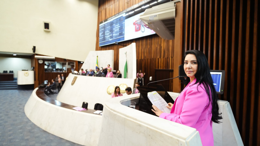 A deputada Cantora Mara Lima (Repblicanos) é a presidente da Comissão de Defesa dos Direitos da Mulher.