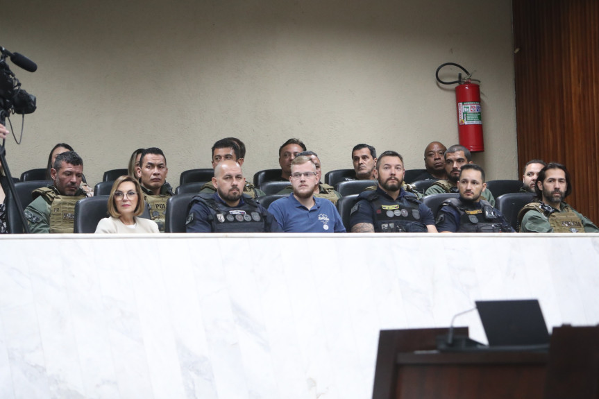 Homenageados acompanharam a sessão plenária de quarta-feira (19).
