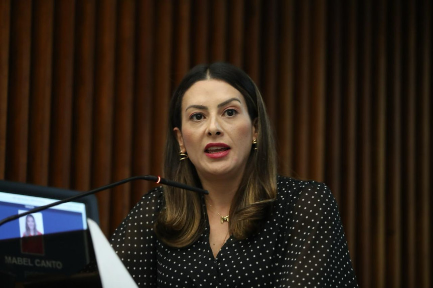 A deputada Mabel Canto ressaltou o problema de sinalização no trecho, além da falta de acostamento que colaboram para a ocorrência de acidentes no local.