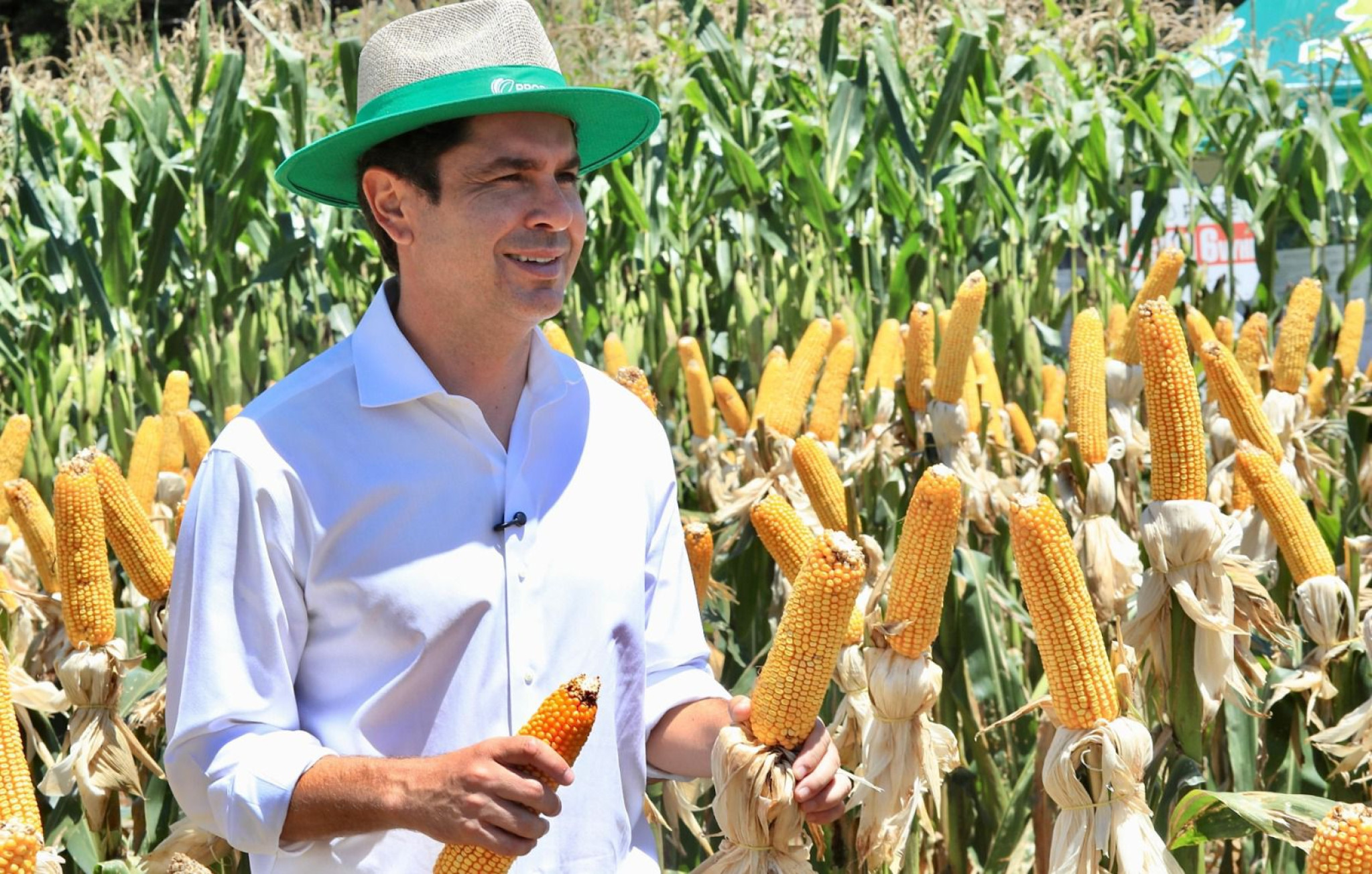 Show Rural é o espelho do Paraná: produtivo, moderno e competitivo, afirma deputado Alexandre Curi (PSD)