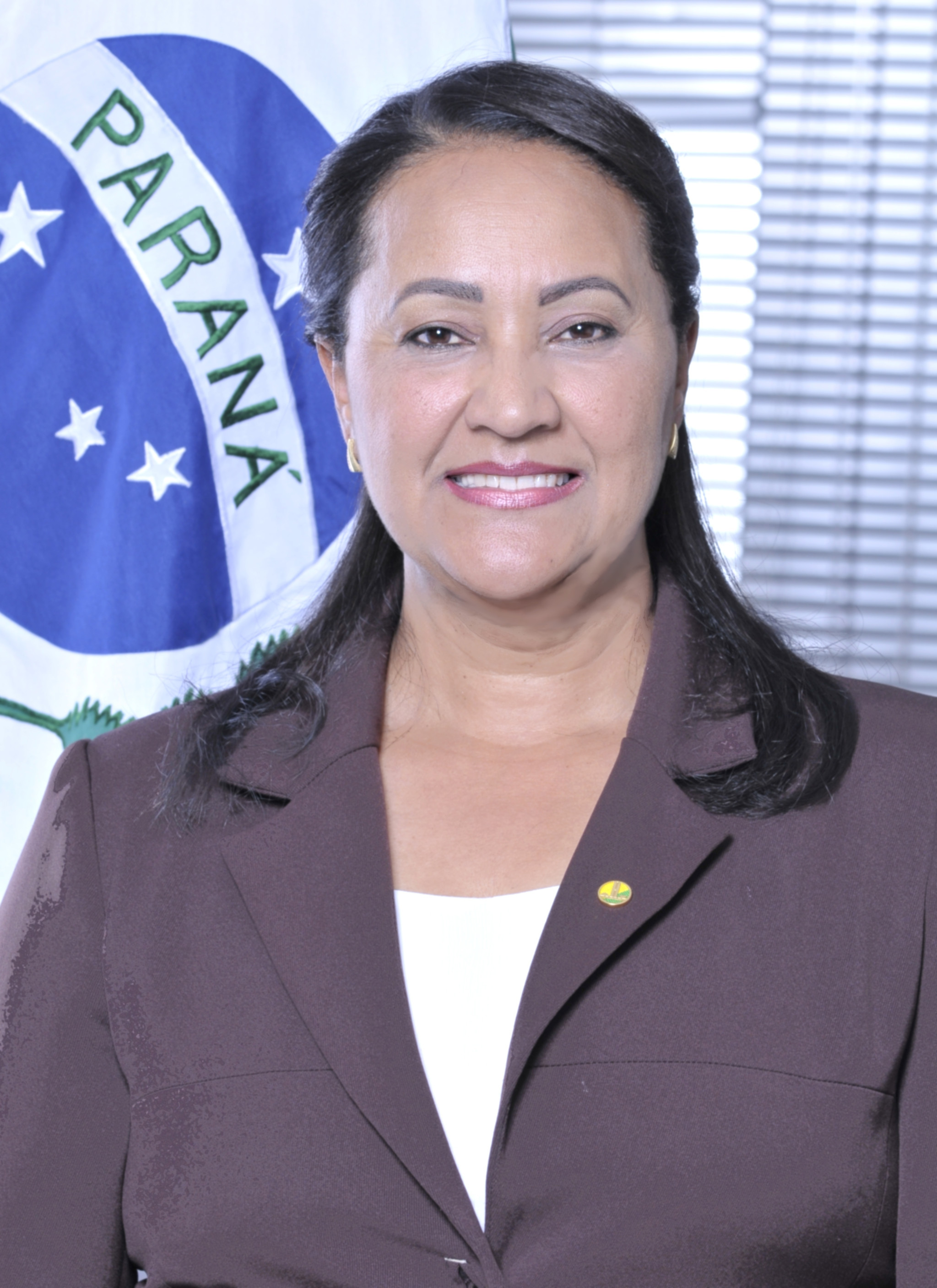 Danimar Se Prepara Para Ser a Primeira Paranaense No Senado