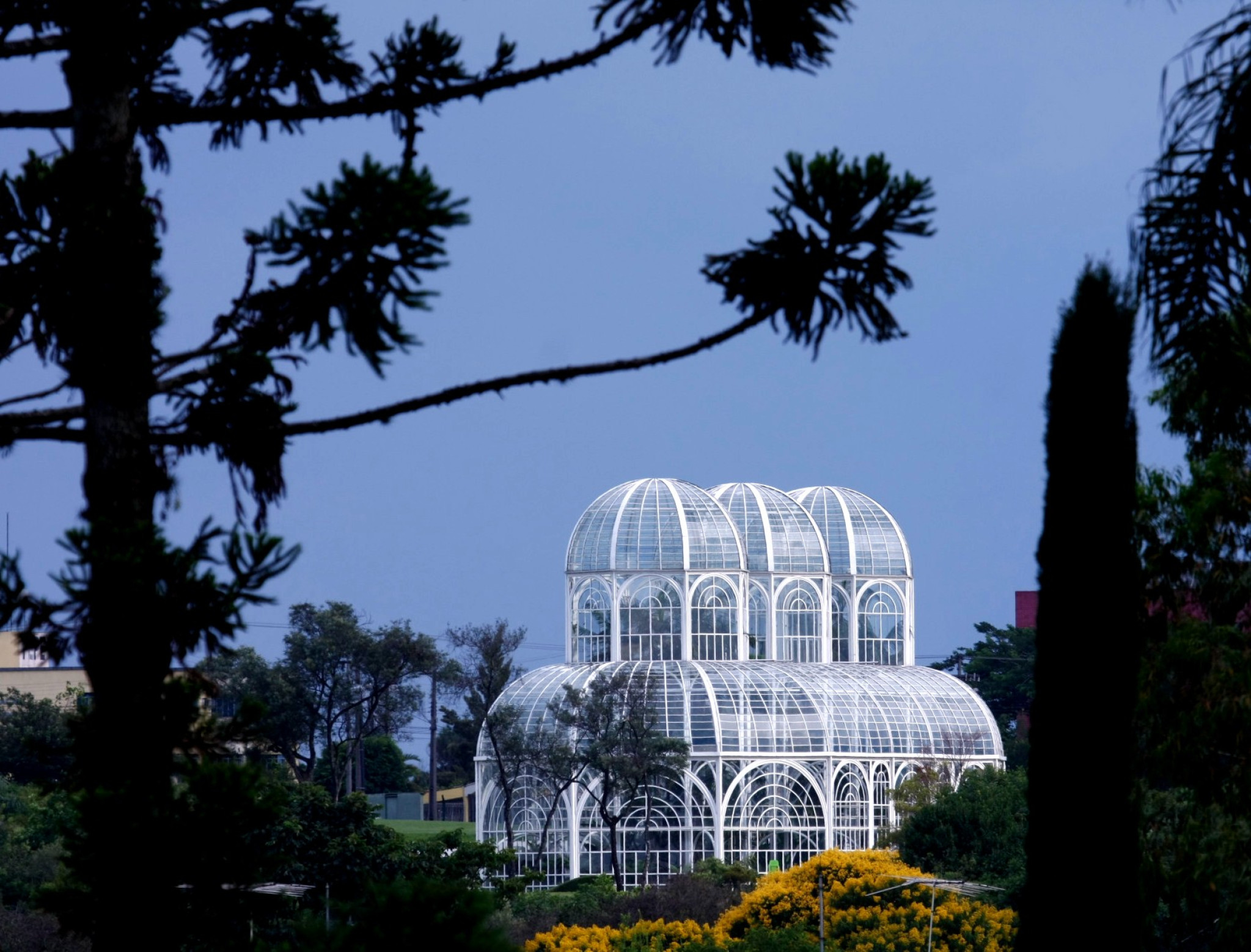 Projeto Determina que Monitoramento da Qualidade do Ar Seja Divulgado Em Tempo Real