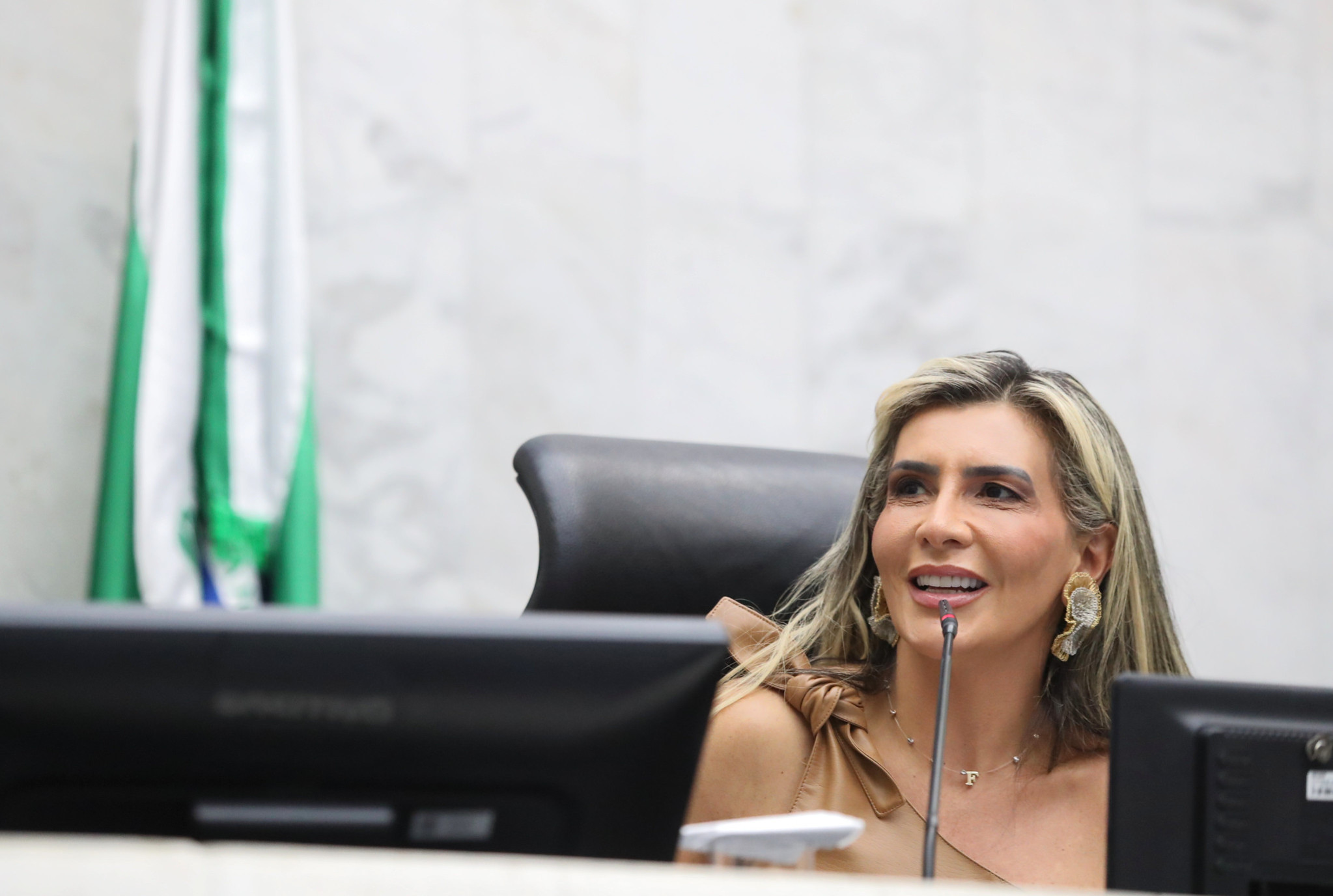 Projeto prevê a criação de Sistema de Blindagem Registral para impedir fraudes em financiamentos e registros de veículos no Paraná