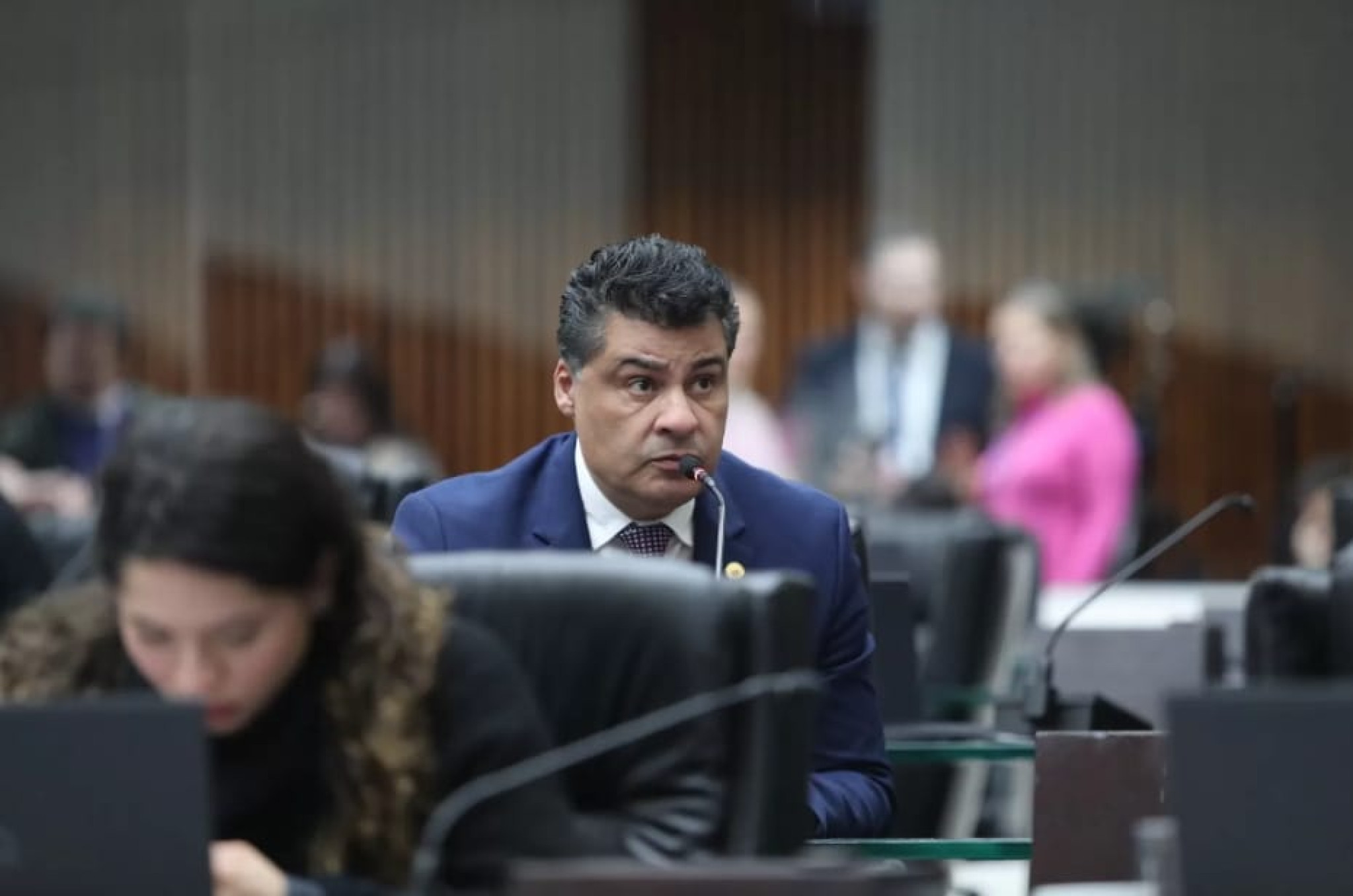 Proposta em trâmite na Assembleia Legislativa quer regulamentar o sepultamento de cães e gatos em cemitérios