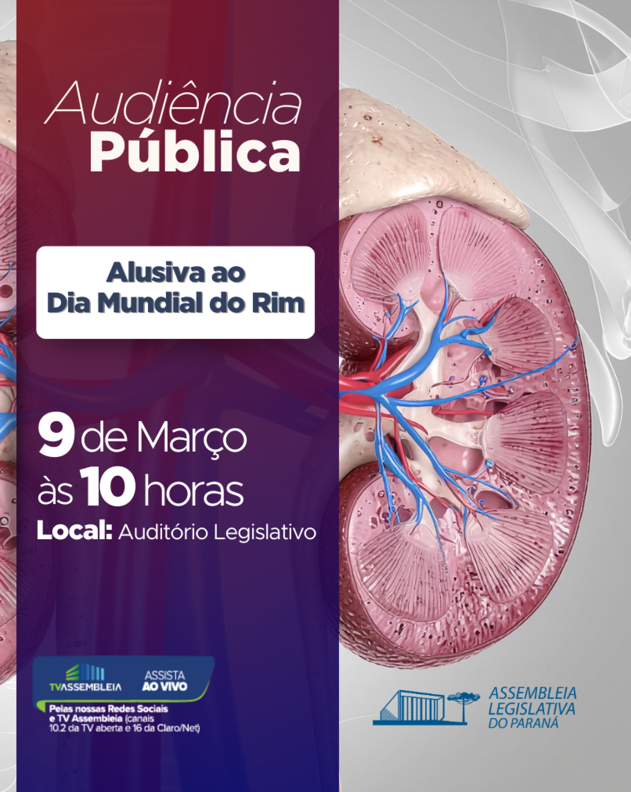 Assembleia promove debate sobre saúde renal e a importância da prevenção e do diagnóstico precoce