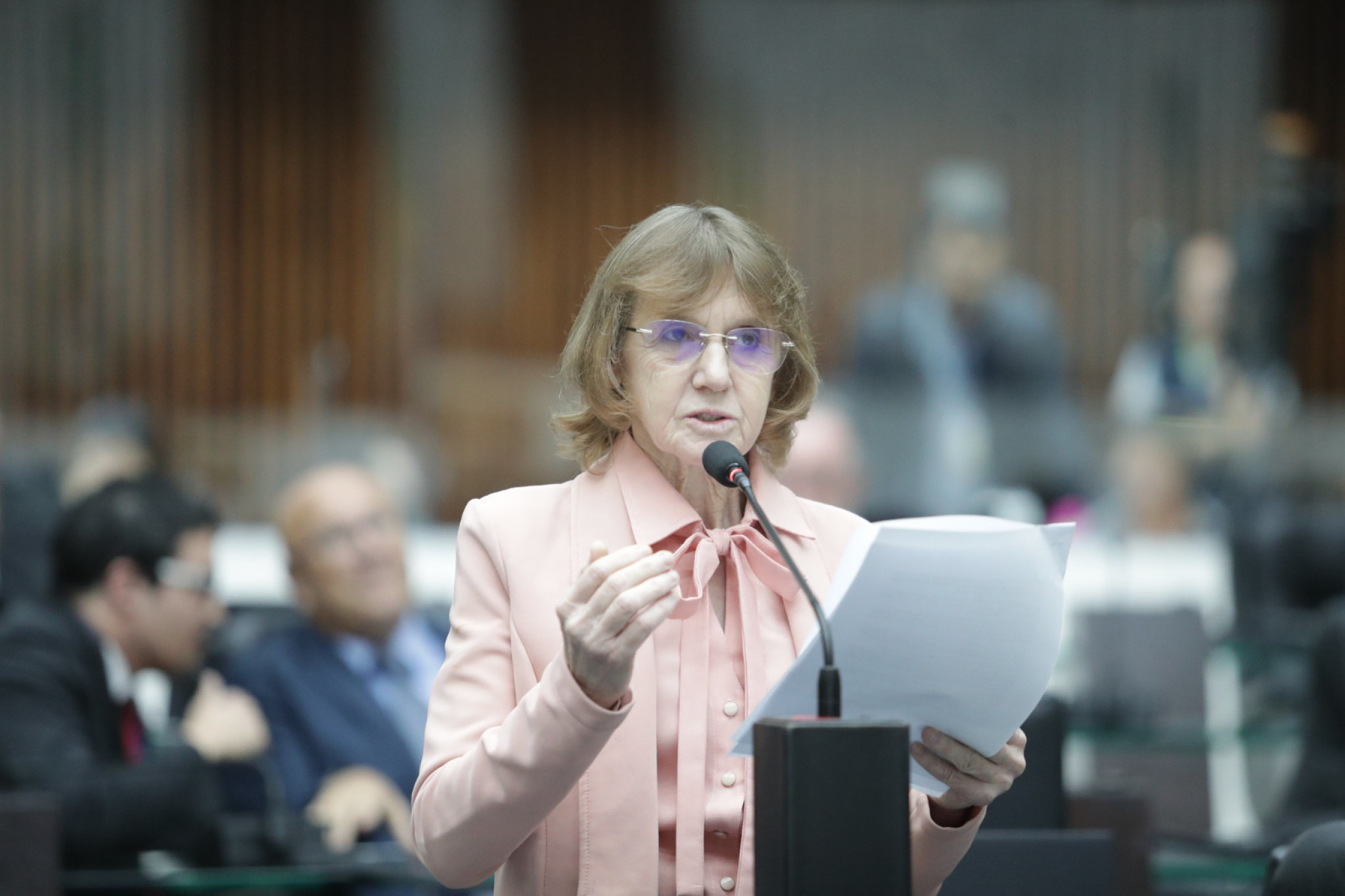 Deputada Luciana Rafagnin (PT) cobra do DNIT melhorias urgentes na BR-158 entre Pato Branco e Coronel Vivida