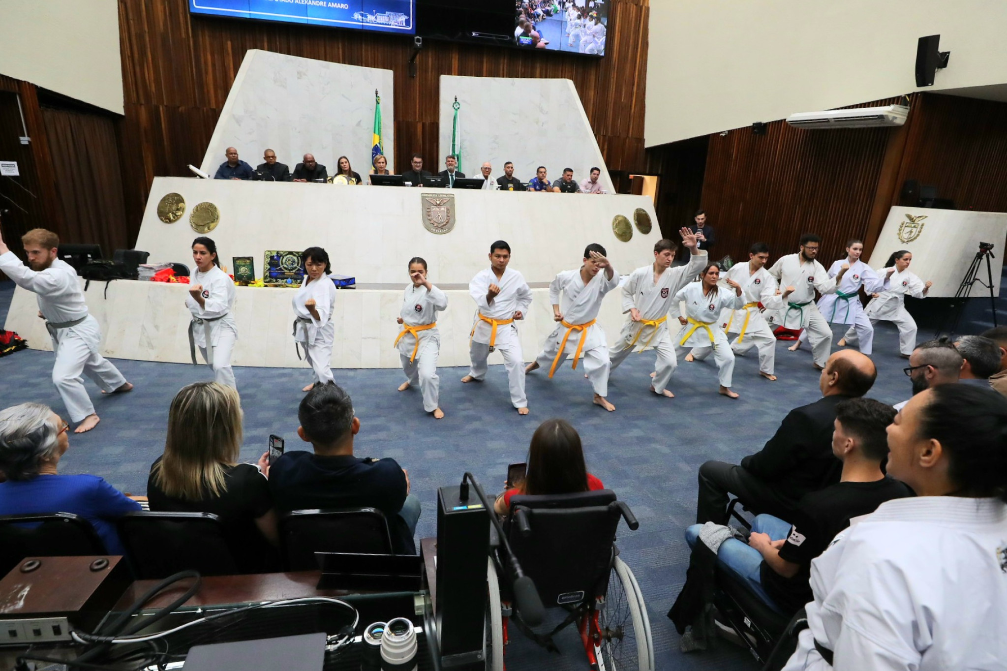Dezembro Faixa Preta é celebrado em sessão solene na Assembleia