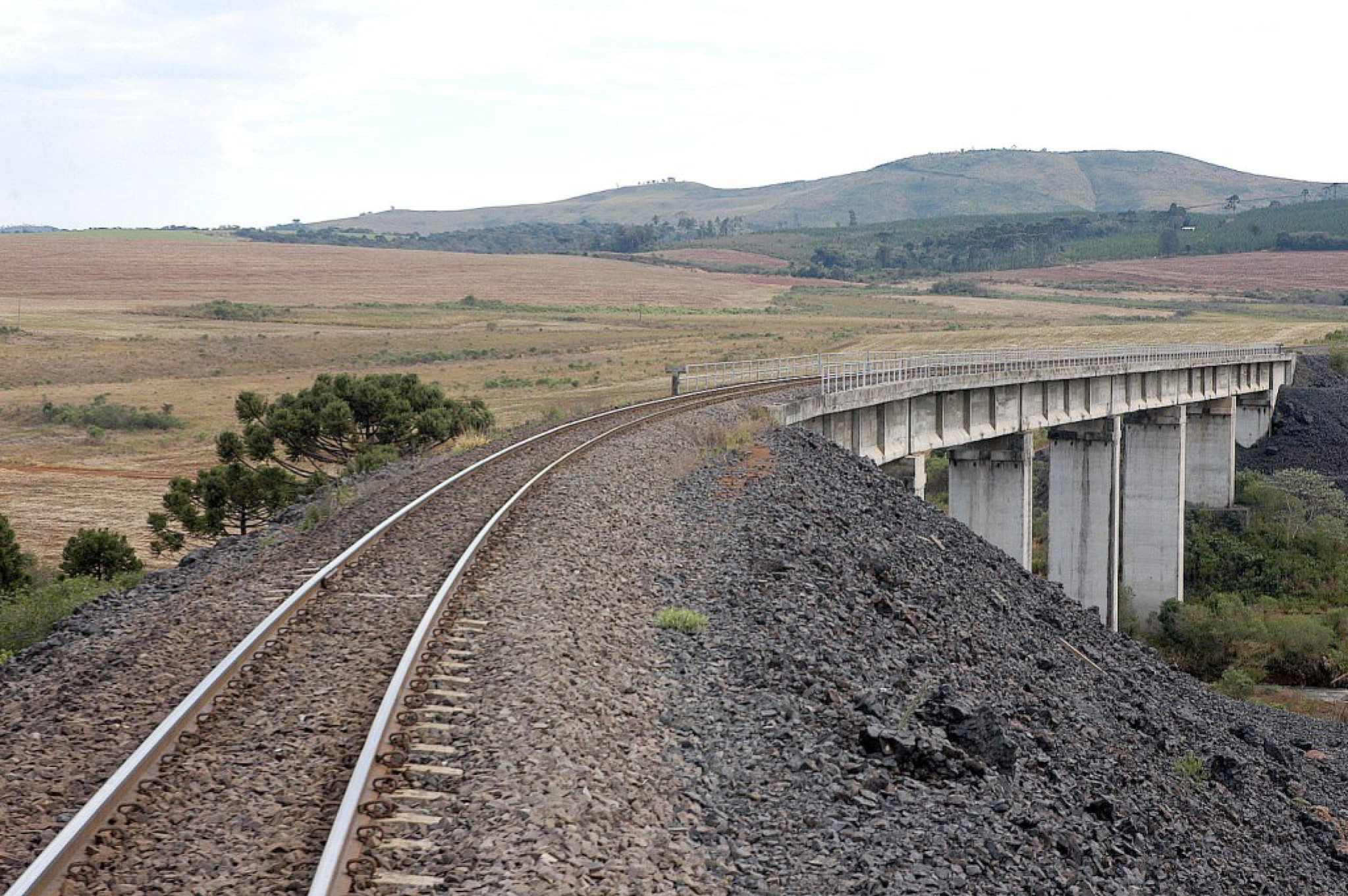 Assembleia Aprova Criação da Ferrovia da Integração do Sul