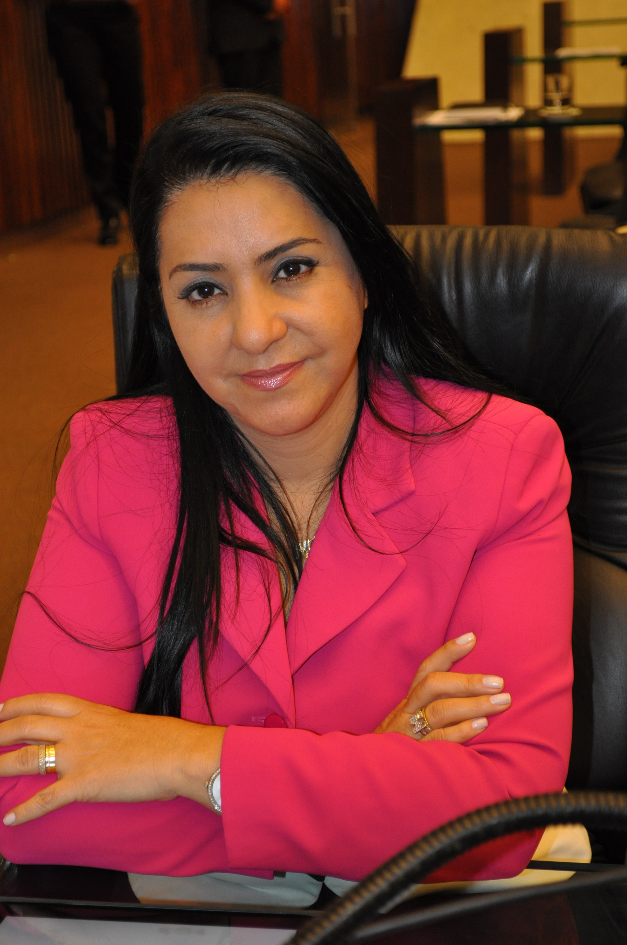 Família é Tema de Seminário Na Assembleia