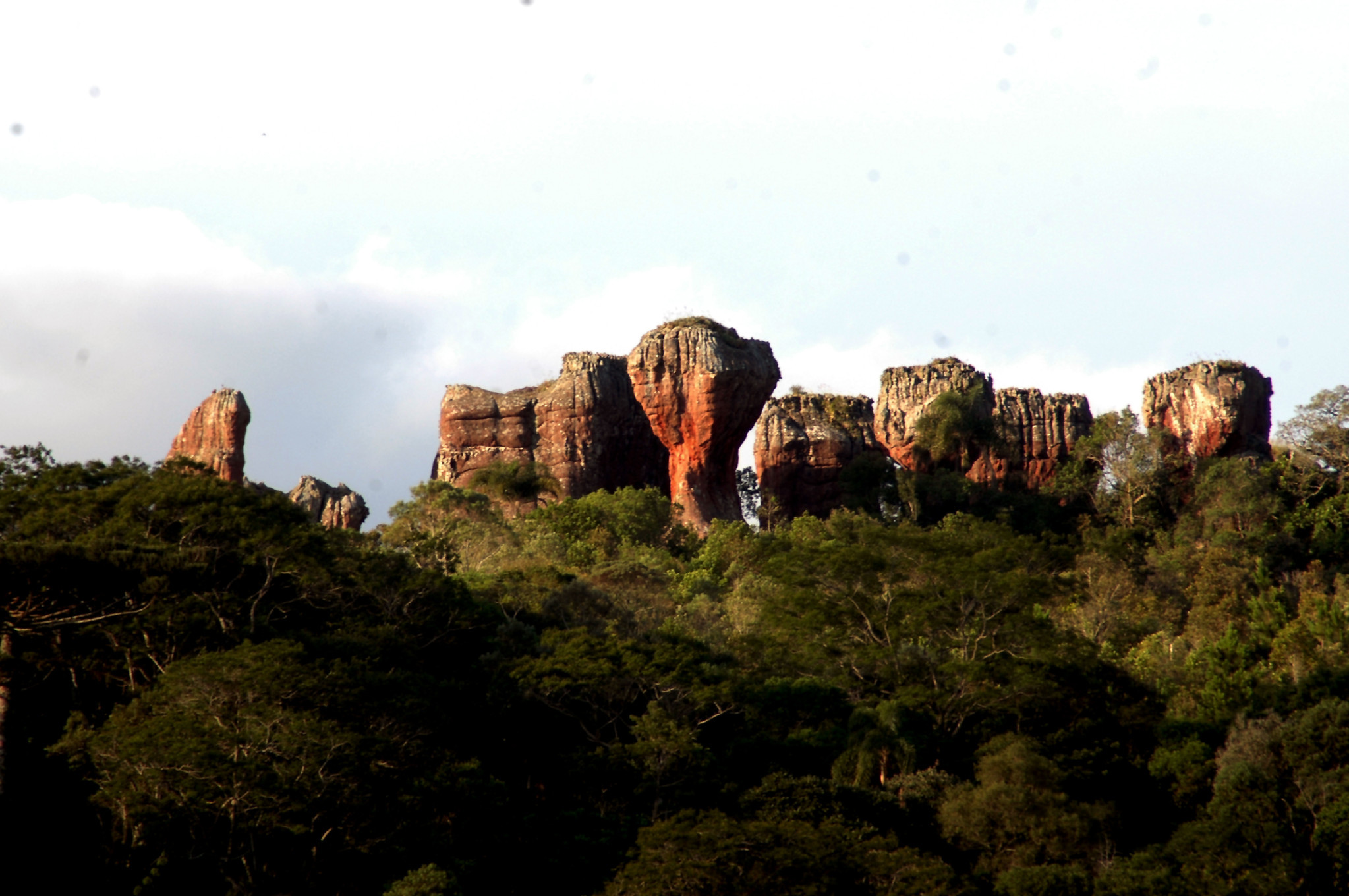 Ponta Grossa Será o Próximo Município a Receber As Sessões Itinerantes da Assembleia Legislativa