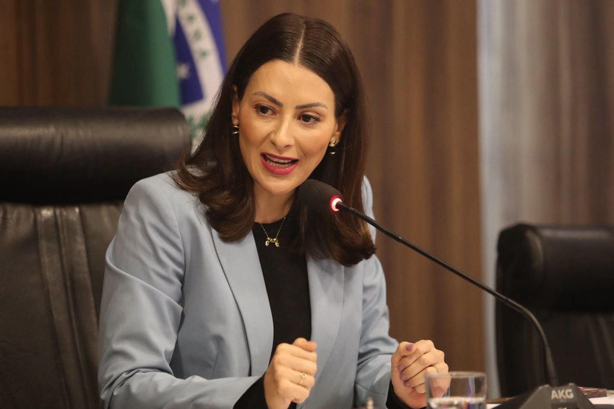 Projeto de lei propõe criação de semana estadual de enfrentamento à violência contra a mulher na internet