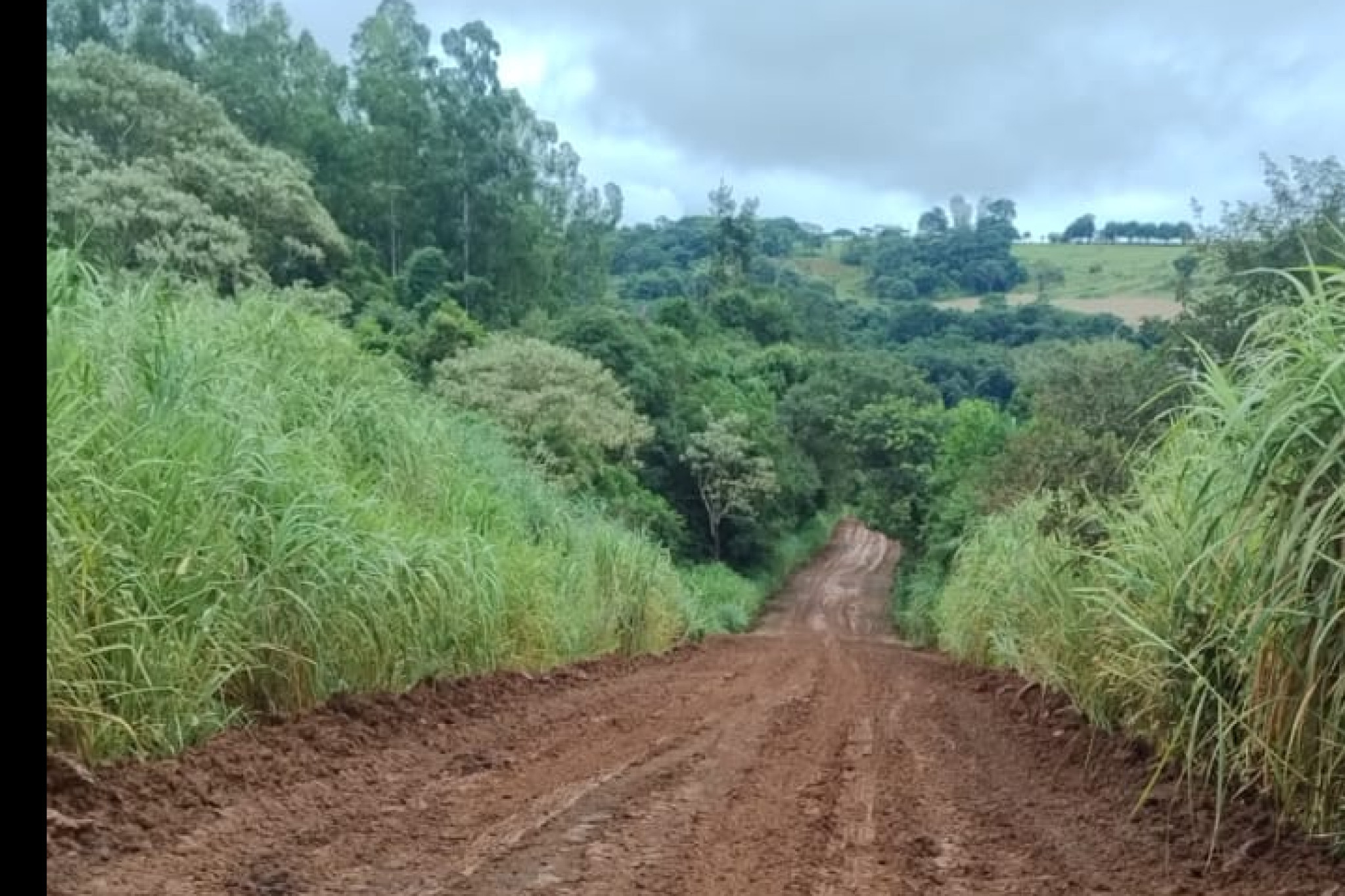 Deputado Cobra Repórter (PSD) reforça necessidade de pavimentação de trecho da PR-532 entre a PR-445 e Taquaruna