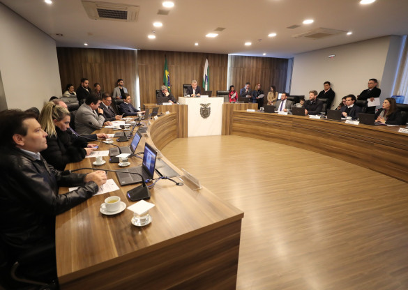CCJ aprova projeto que permite repasse de bens a organizações de amparo a pessoas vulneráveis