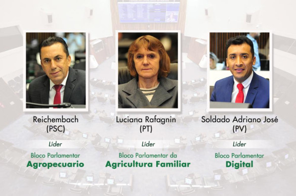 Blocos Parlamentares Temáticos atuam para aproximar Legislativo da sociedade