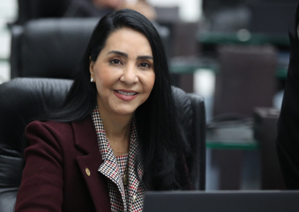 No Junho Violeta, deputada Cantora Mara Lima (REP) destaca o combate à violência financeira contra os Idosos