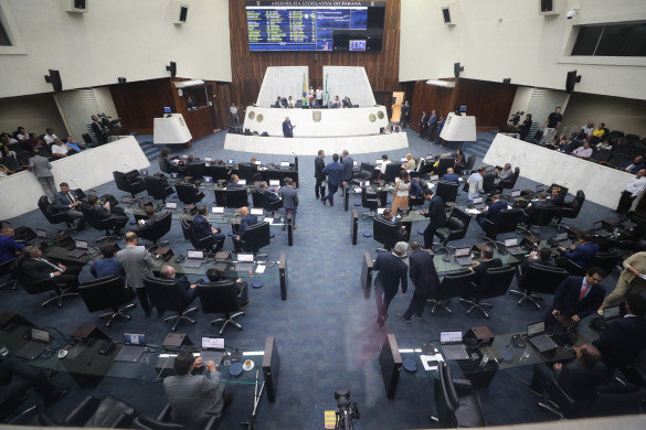 Assembleia Legislativa aprova projeto da deputada Cristina Silvestri (PP) que reconhece Guarapuava como Capital da Batata Inglesa