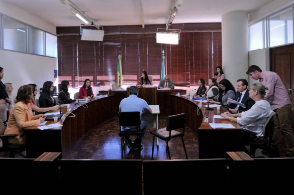 Comissões fazem reunião conjunta para definir agenda da CPI da Violência contra a Mulher