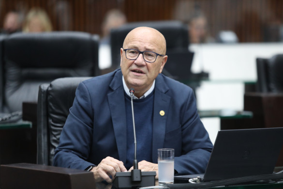 Deputado Romanelli (PSD) manifesta preocupação com Decreto Federal que pode afetar atendimento de educação especial no Paraná