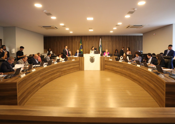 CCJ analisa pauta especial em homenagem ao Mês da Mulher, com foco em direitos, saúde e proteção