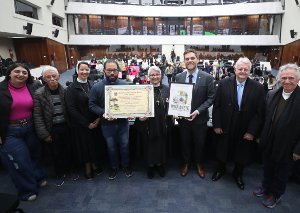 Assembleia Legislativa reconhece atuação de Irmã Anete com título de Cidadania Honorária do Paraná