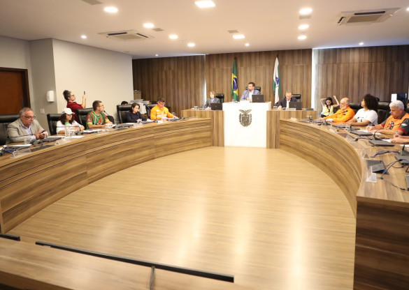 Assembleia realiza audiência pública para discutir impactos dos apagões e serviços prestados pela Copel no Paraná