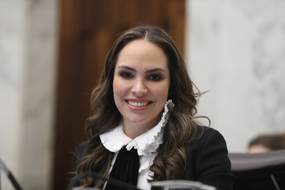 Mercado de Carbono reduz a emissão de gases de efeito estufa e cria oportunidades de negócios, diz deputada Maria Victoria (PP)
