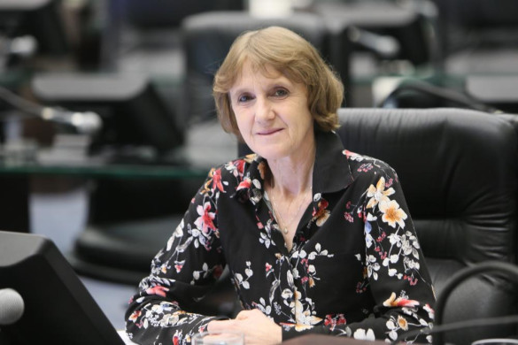 Luciana propõe a instalação de salas de acolhimento à mulher nas delegacias