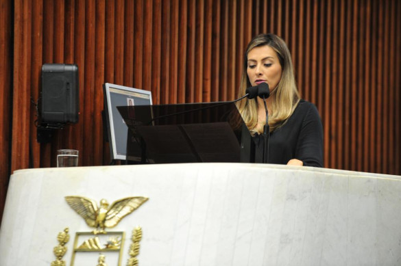 Deputada Mabel defende o direito de gestante escolher o tipo de parto