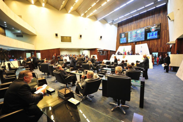 Assembleia aprova projeto que proíbe exigência de caução para internação de animais em hospitais veterinários