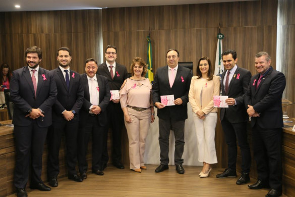 CCJ destaca projetos que tratam da saúde da mulher